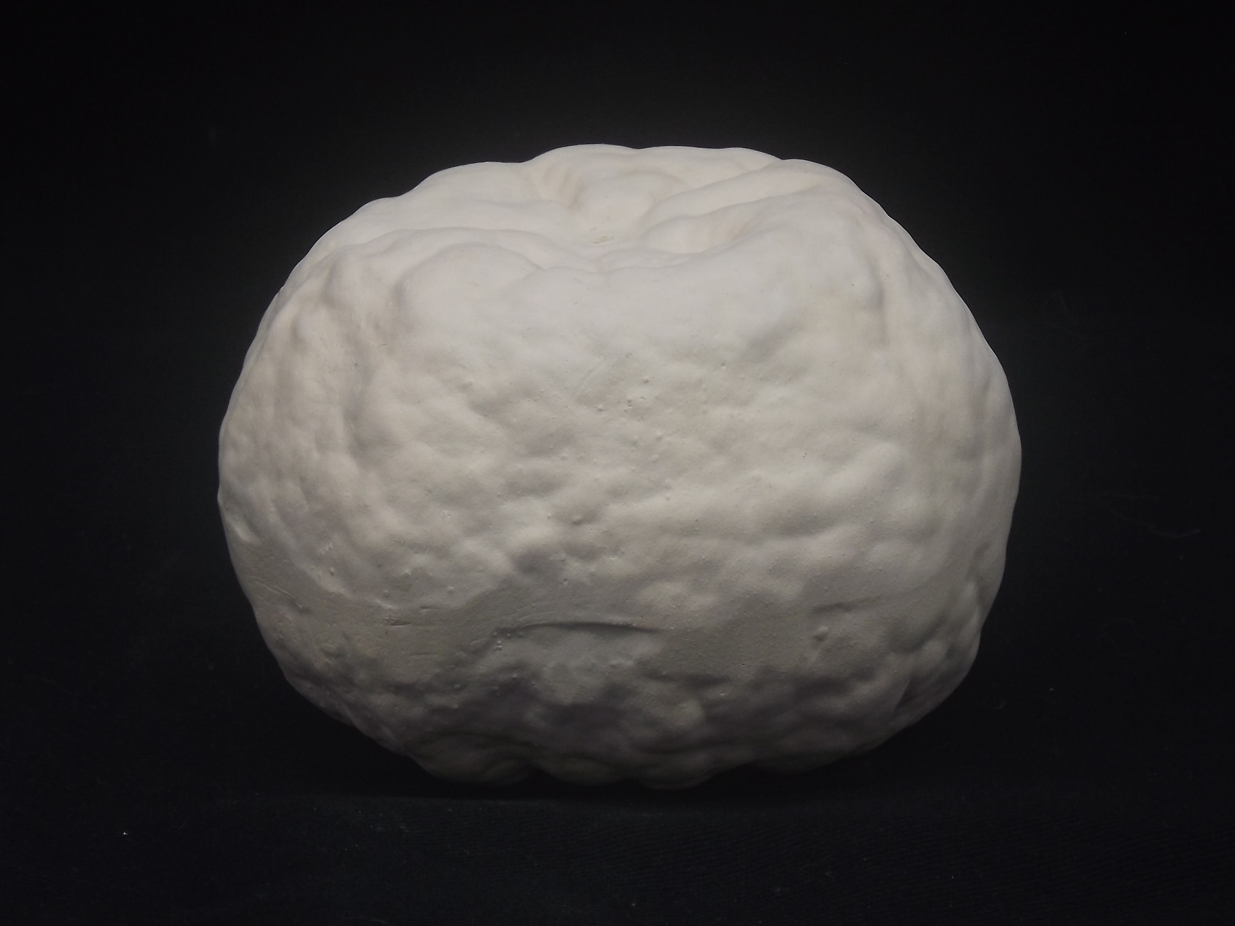 Poucan